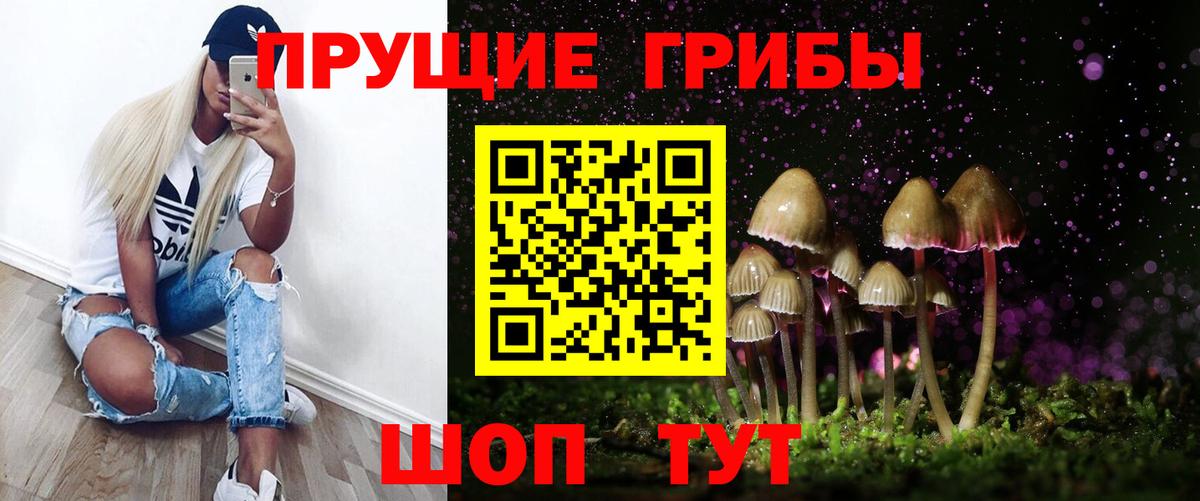 Псилоцибиновые грибы Psilocybine cubensis Джанкой