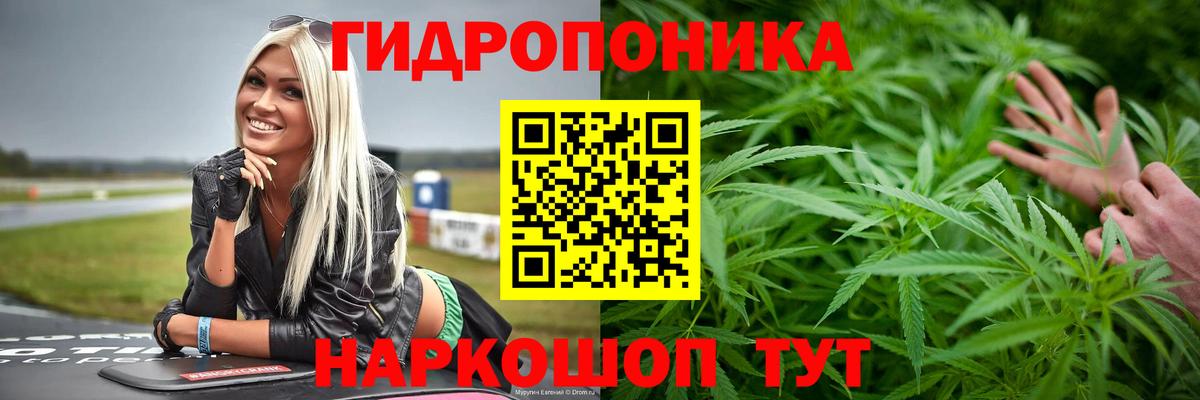 Бошки Шишки семена Джанкой